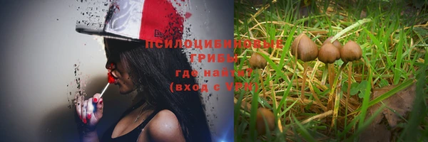 ALPHA-PVP Богородск