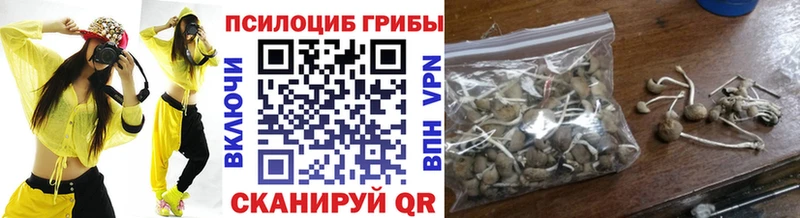Псилоцибиновые грибы Cubensis  Городец 